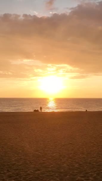 この垂直ビデオで海辺の愛の物語を受け入れます 穏やかな海の景色とライブ壁紙は 海岸であなたの特別な瞬間のためのロマンチックな雰囲気を作り出しましょう キーワード 垂直ビデオ — ストック動画
