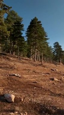 Bu dikey videoyla, otantik bir Türk bölgesinde büyüleyici bir arka plan sergileyerek sinematik bir çekim yapın. Bırak eşsiz dokular ve kültürel cazibe seni bu çarpıcı şeyle taşısın.
