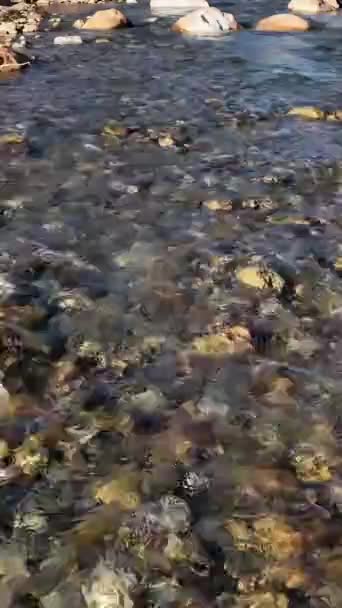 Sumérgete Textura Río Montaña Con Este Vídeo Vertical Que Captura — Vídeos de Stock