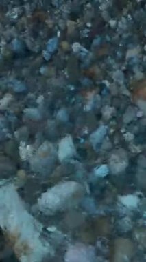 Bu dikey videoda dağların ihtişamını vurgulayan hızlı akan bir nehir gibi ruhani alacakaranlık parıltısını yakalayın. Huzurlu görüntüler ve huzurlu atmosfer büyüleyici bir canlı yaratsın.