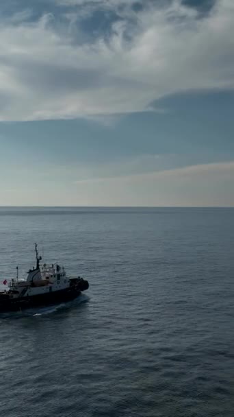 Mavi Sularda Seyreden Bir Deniz Römorkörünün Zahmetsiz Süzülüşüne Tanık Olun — Stok video
