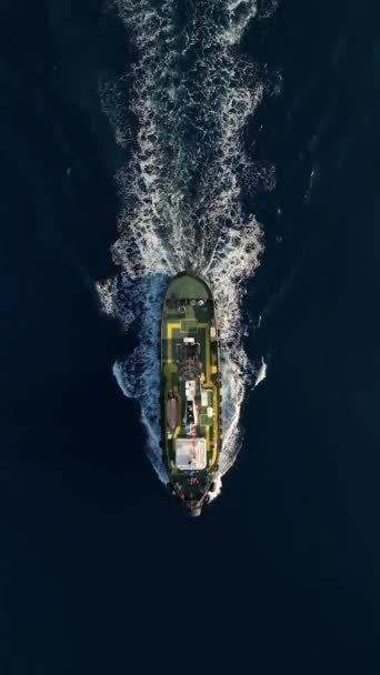 Csatlakozzon Egy Izgalmas Tengeri Kaland Mint Egy Vontatóhajó Navigál Kiterjedt — Stock videók