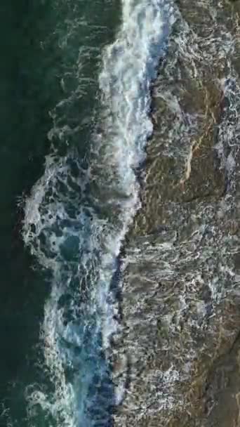 Заохочувати Захоплюючу Атмосферу Морського Фону Цьому Вертикальному Відео Нехай Ритмічний — стокове відео