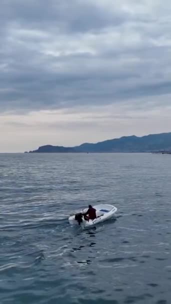 この垂直ビデオで地中海の黄金の瞬間を目撃してください 海岸沿いを航海する漁師のボートに従ってください 輝く夕日の素晴らしい背景があります 無人機を — ストック動画