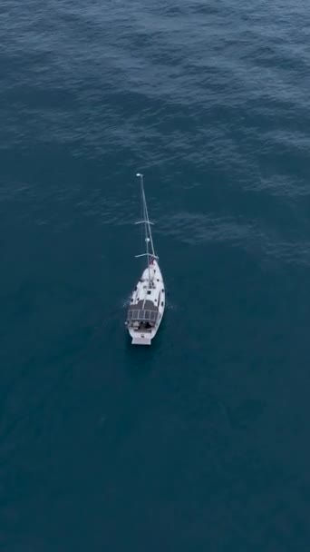 Melhore Seus Projetos Mergulhe Beleza Costeira Com Fundo Marinho Câmera — Vídeo de Stock
