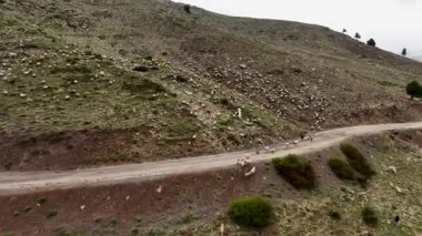 Unutulmaz bir sürüşün özünü yakalayın. İnsansız hava aracı, Mars 'a benzeyen büyüleyici bir arka planda yer alan dağ yolundaki gezginlerin sinematik görüntülerini yakalar..