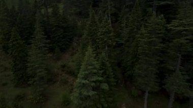 Hava aracının yağmurun öptüğü merdiven yolunu yakalayıp sırlarını gizlemesiyle havanın ihtişamının tadını çıkarın. Dramatik bir yansıma hissi uyandırıyor ve doğayla olan uyumunu derinleştiriyor.