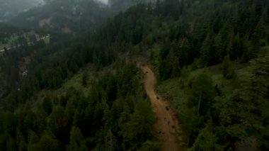 Havadaki zarafete tanık olun. İHA 'nın yağmurla ıslanmış yolu yakaladığı gizemle örtülü. Dramatik bir atmosfer yaratıyor, yansıma ve doğa ile iletişim için mükemmel..