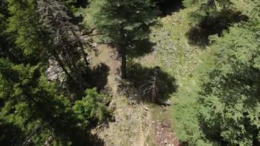 Bir kuş bakışı bakış açısı edinin ve doğa meraklılarının doğa yürüyüşü ve manzaralı dağ ormanlarını keşfettikleri muhteşem hava manzarasından büyülenin..