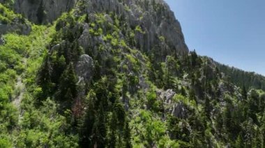 İnsansız hava aracının büyüleyici bir bahar ormanı görüntüsü yakaladığı huzuru yukarıdan yaşayın. Burada bireyler rahatlık ve huzur bulmak için spor ve yürüyüş yaparlar..