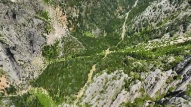 İnsansız hava aracının büyüleyici bir bahar ormanı görüntüsü yakaladığı huzuru yukarıdan yaşayın. Burada bireyler rahatlık ve huzur bulmak için spor ve yürüyüş yaparlar..