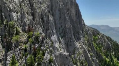 İnsansız hava aracının büyüleyici bir bahar ormanı görüntüsü yakaladığı huzuru yukarıdan yaşayın. Burada bireyler rahatlık ve huzur bulmak için spor ve yürüyüş yaparlar..