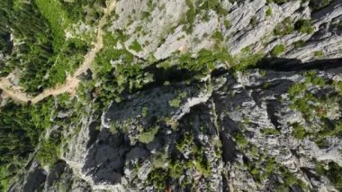 İnsansız hava aracı, bahar ormanlarının dinginliğini kucaklayan, sporla meşgul olan ve ruhlarını tazelemek için yürüyüş yapan bireylerin büyüleyici bir hava görüntüsünü yakalar..