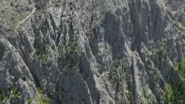 Yukarıdan doğaya bir göz atın, bireylerin huzur bulduğu ve spor yaparken ve dışarıda eğlenirken bahar ormanının güzelliğini kucakladıkları yere..