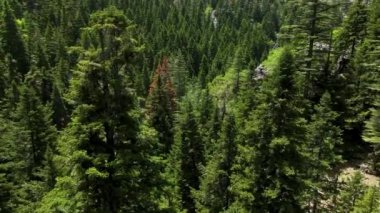 İnsansız hava aracı, spora ve yürüyüşe neşeyle katılan insanların hava görüntüsünü sağlarken manzaranın güzelliğine tanık olun.