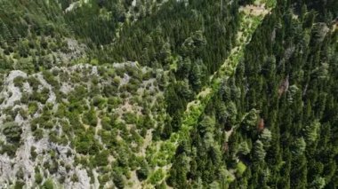 İnsansız hava aracı, bahar ormanlarının huzurunu ve soğuk bir nehrin ferahlatıcı akışını yakalayarak spor ve yürüyüş maceraları için ideal bir ortam sağlarken bir hava inzivasına çekiliyoruz..
