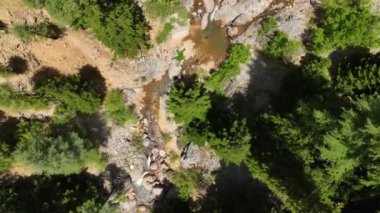 Bahar ormanının görkemli güzelliğini tecrübe edin ve insansız hava aracı nefes kesici bir hava manzarası yakalarken heyecan verici bir yürüyüş macerasına başlayın..