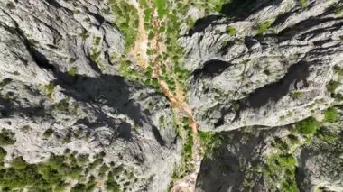 İnsansız hava aracı, yürüyüşçülerin resimli bahar ormanlarını geçişlerini gösteren gizli hazinelerini ortaya çıkarırken, mucizenin izlerini açığa çıkarıyor..