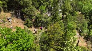 Zirveye olan yolculuğa katılın. İnsansız hava aracı büyüleyici bahar ormanlarında rüyalarını kovalamaya cesaret eden yürüyüşçülerin bir anlık bakışını sunuyor..