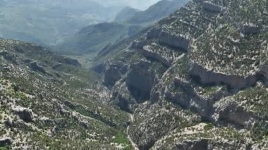 Dağ Sükuneti: Serene Peaks 'in Hava Bakış açısı ve Görkemli Dokularla Gelişen Bahar Ormanı