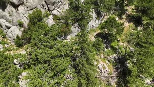 Mountain Serenity Luftperspektiv Fredfyldte Toppe Blomstrende Forårsskov Med Majestætiske Teksturer – Stock-video