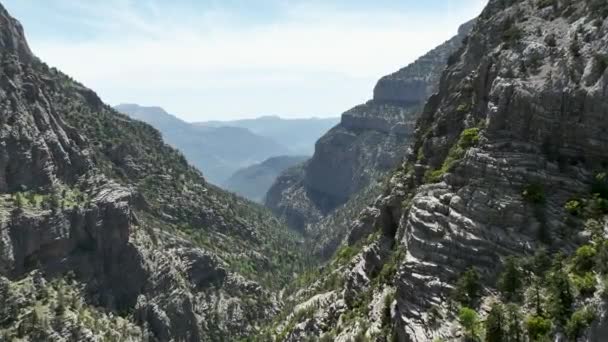 Mountain Serenity Aerial Perspektywy Spokojnych Szczytów Kwitnący Wiosenny Las Majestatycznymi — Wideo stockowe