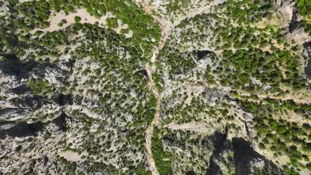 ドローンは雄大な山々 緑豊かな春の森 優雅な渓流を空中から眺めることができるので 自然のシンフォニーに浸ることができます — ストック動画