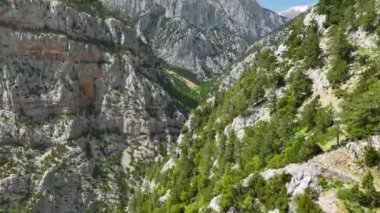 Görkemli bir orman ve yukarıdan yemyeşil bir çevrenin ihtişamını kucaklayan büyüleyici bir köy görürken doğanın huzurunu hissedin..