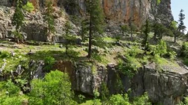 Görkemli ve dinginliğe tanık olun. Yükselen bir ormanın ve yeşil bir cennetteki resim gibi bir köyün büyüleyici bir havadan görünüşü var..