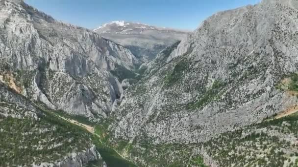 Ammirate Maestoso Fascino Delle Catene Montuose Dei Tacchini Del Sud — Video Stock
