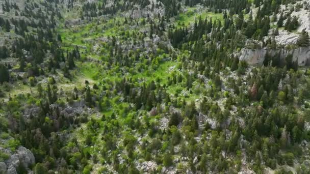 Ponořte Majestátní Krásy Vrcholku Hory Pokryté Bujným Lesem Prvních Dnech — Stock video