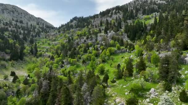 在初春的日子里 在一座史诗般的山林中进行视觉旅行 从空中捕捉令人叹为观止的景色 — 图库视频影像