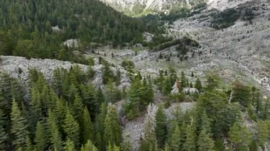 İHA, yukarıdaki dokulu zirveler ve yeşil çam ormanlarının ham güzelliğini gözler önüne sererken, baharda Türk dağlarının ihtişamına tanık olun. Kendini havanın ihtişamına bırak..