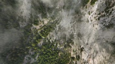 Büyüleyici bir hava macerasına atlayın ve sisli dağ zirvelerinin ihtişamına dalın. Bulutlarla kaplı manzaranın gerçeküstü güzelliğinde kendini kaybet..