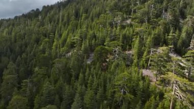 Yükselmiş bir cennete binin yemyeşil dağlık ormanlık alanlarda seyahat ederken. Karla kaplı tepelerin ve bulutların huzur dolu hareketlerinin tadını çıkar..