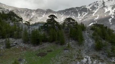 Dağ yollarının büyüleyici güzelliğini, dramatik gökyüzünü ve bulutların büyüleyici dansını gözler önüne seren İHA yukarıda süzülürken orman yüksekliğinin mistik cazibesini açığa çıkar..