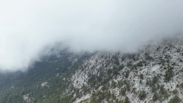Wyrusz Czarującą Podróż Lotniczą Przejrzyj Góry Otoczone Chmurami Rozkosz Eterycznej — Wideo stockowe