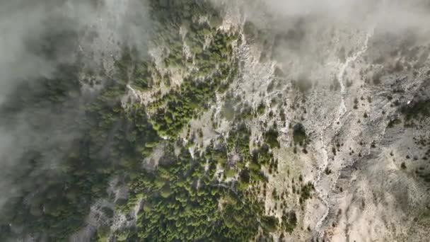 Виходьте Межі Хмар Вирушайте Повітряне Дослідження Гір Захованих Тумані Свідок — стокове відео