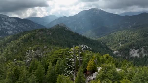 Embárcate Una Exploración Aérea Obra Maestra Naturaleza Bosque Montañoso Prístino — Vídeos de Stock