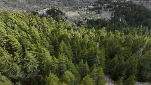Ucieczka Szmaragdowego Raju Jak Wznieść Się Nad Bujnym Lesie Górskim — Wideo stockowe