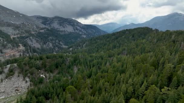 緑の森と雪景色の神秘的な空中探検に乗り出す 山の峰を優雅に横断する雲のエーテルの美しさに飛び込む — ストック動画