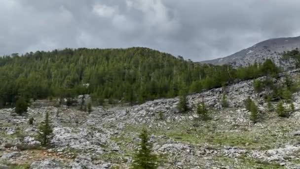 Immerse Yourself Natures Cinematography Aerial Masterpiece Green Forest Snowy Peaks — Stock Video