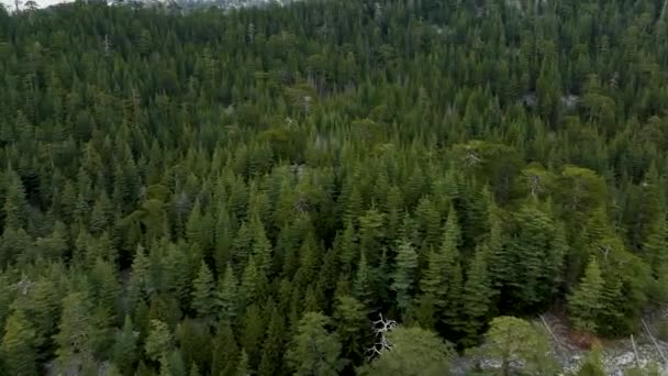 壮大な山々と穏やかな森の美しさを見ながら ドローンは劇的な魅力的な空中ビューを発表します — ストック動画