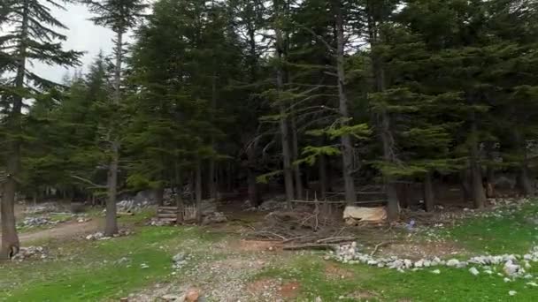 Ανακαλύψτε Μεγαλείο Των Turkeys Νότια Βουνά Όπως Drone Πετάει Πάνω — Αρχείο Βίντεο