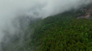 İnsansız hava aracı, bulutların içinde dönen bulutların içine hapsolmuş gizemli ormanın havadan bir perspektifini sunarken, bulutların harikalarına hayret ederek gerçeküstü bir atmosfer yaratır..