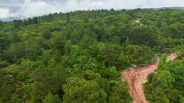 İnsansız hava aracı gökyüzünden bilinmeyen bir ormanla karşılaşırken kendinizi gizemli bir yağmur yağmuru sonrasına daldırın, ruhani atmosferi ve büyüleyici manzarayı yakalayın..