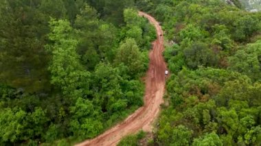 İHA 'nın yemyeşil ormanlarla çevrili esrarengiz yolun güzelliğini ortaya çıkardığı huzuru hissedin. Yağmurdan sonra sakin atmosferi ve sakin ambiyansı sergiliyor..