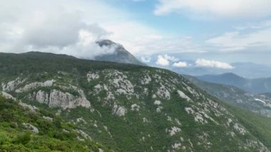 İnsansız hava aracı, dağ zirvesini süsleyen ve son yağmurdan dönüşen büyülü ormanın ürkütücü havadan bakış açısını ortaya çıkarırken ihtişam krallığına geri çekiliyoruz..