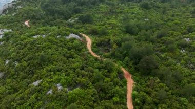 İnsansız hava aracı yağmur sonrası büyülü atmosferi ortaya çıkararak büyüleyici bir hava manzarası sağladığı için dağın zirvesinde ormanın büyüleyici dönüşümüne tanık olun..