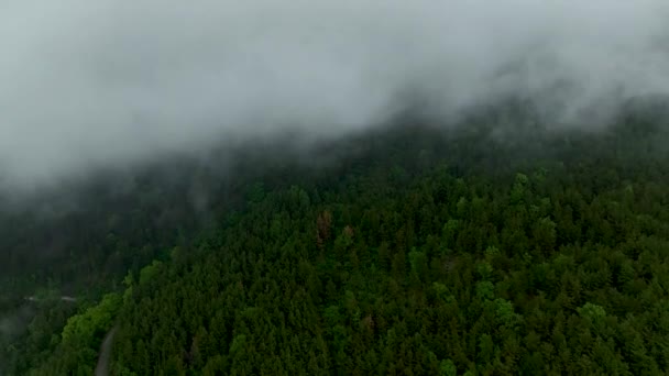 Bevittna Den Eteriska Skönheten Molnkysst Skog Som Drönaren Ger Antenn — Stockvideo